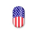 FLAG FRENCH MANICURE フラッグフレンチマニキュア